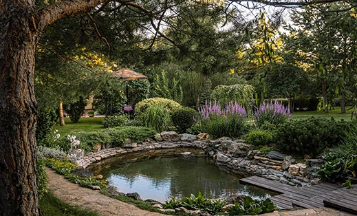 рейтинг инструментов для ландшафтного дизайна